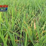 20260408-img-20260407-wa0142-1 (1)